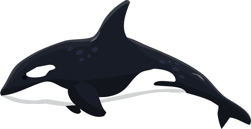Orca